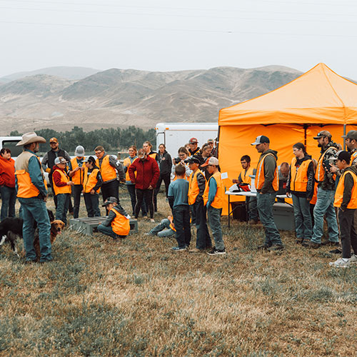 Challis Youth Bird Dog Hunt